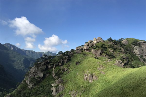 英國就業(yè)率高的專業(yè)都有哪些