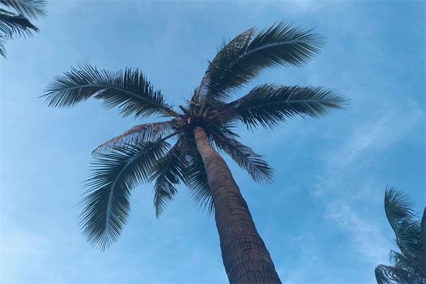 2023年澳大利亞留學就業(yè)優(yōu)勢專業(yè)都有哪些