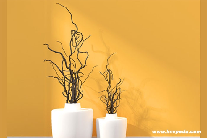 藝術(shù)留學(xué)作品集培訓(xùn)費(fèi)用