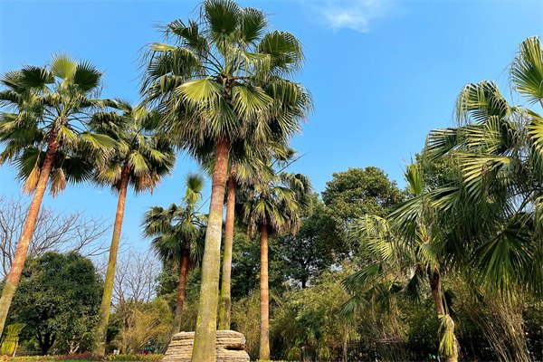2023年英國(guó)留學(xué)掛科怎么辦