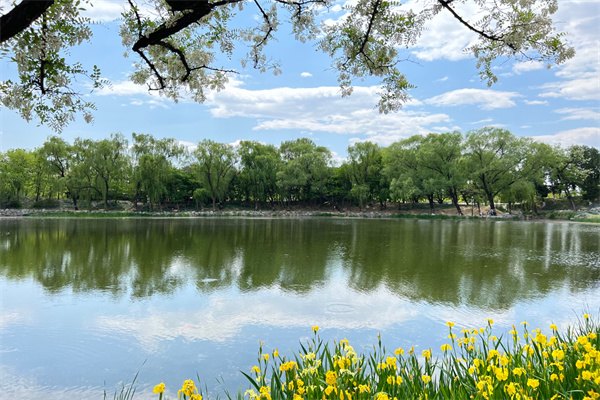 2023美國大學(xué)前十排行榜