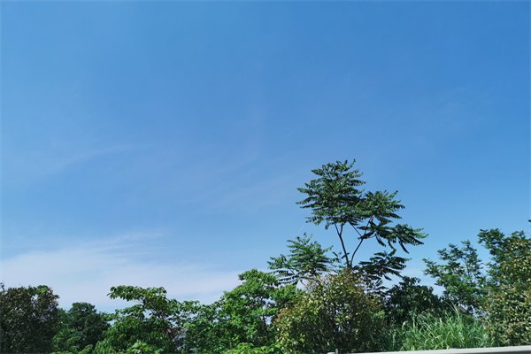 2023澳大利亞留學(xué)一年費(fèi)用