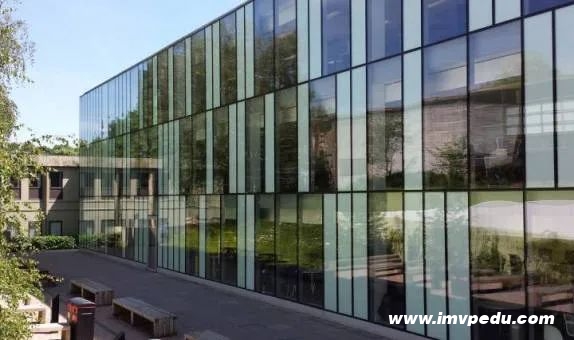 金斯頓大學