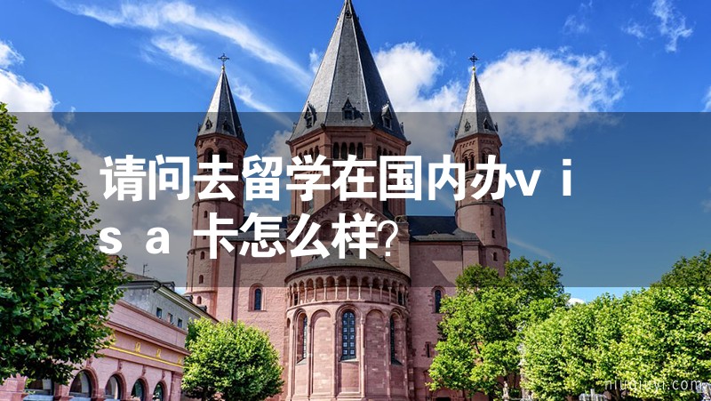 請(qǐng)問(wèn)去留學(xué)在國(guó)內(nèi)辦visa卡怎么樣？