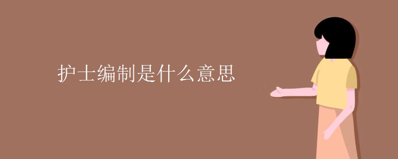 護士編制是什么意思