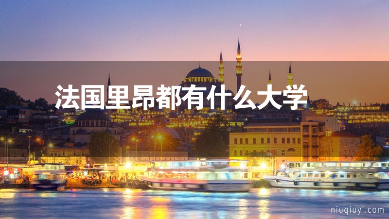 法國里昂都有什么大學