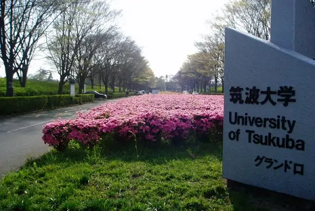 日本筑波大學(xué)世界排名怎么樣？
